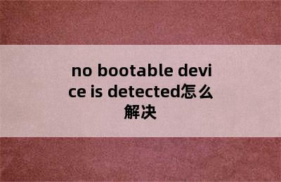 no bootable device is detected怎么解决